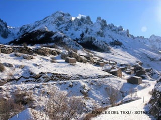 INVERNALES DEL TEXU - SOTRES

 