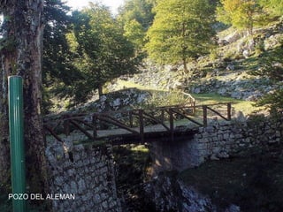 POZO DEL ALEMAN

 