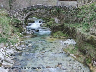 RIO DUJE Y MOLIN DE IGNACIO

 