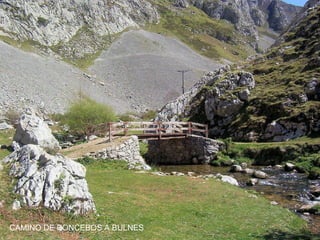 CAMINO DE PONCEBOS A BULNES

 