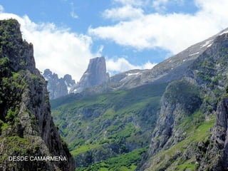 DESDE CAMARMEÑA

 