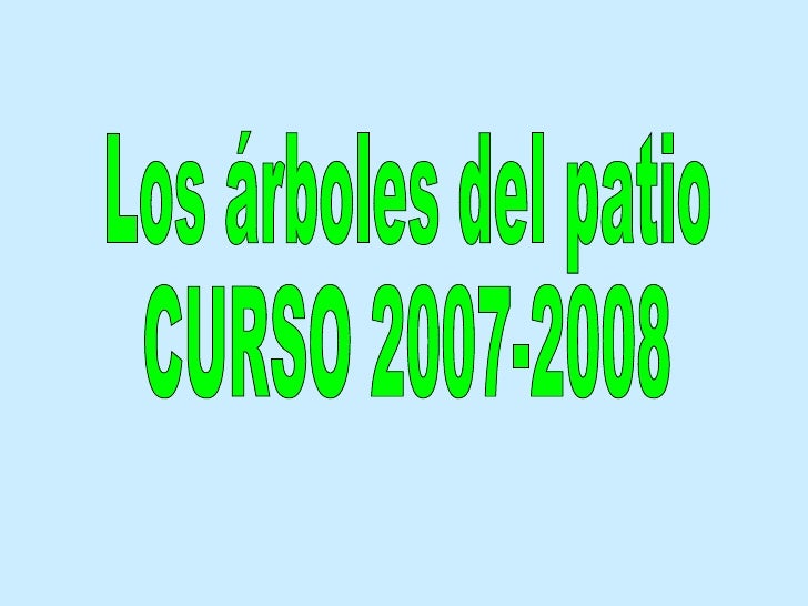 Visita a los árboles del patio