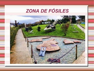 ZONA DE FÓSILES
 