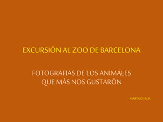 EXCURSIÓN AL ZOO DE BARCELONA
FOTOGRAFIAS DE LOSANIMALES
QUE MÁS NOS GUSTARÓN
MARTADE ROA
 