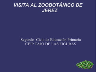 VISITA AL ZOOBOTÁNICO DE JEREZ Segundo  Ciclo de Educación Primaria CEIP TAJO DE LAS FIGURAS 