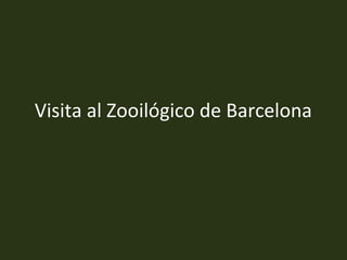 Visita al Zooilógico de Barcelona
 