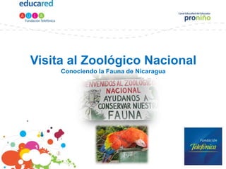 Visita al Zoológico Nacional
     Conociendo la Fauna de Nicaragua
 