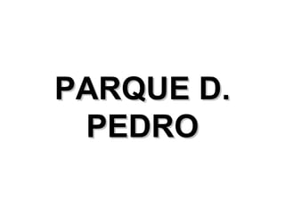 PARQUE D.
 PEDRO
 