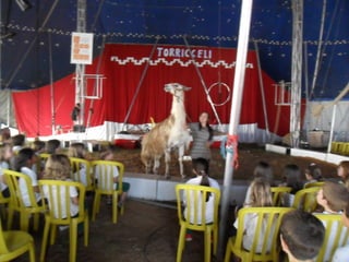 Visita ao circo
