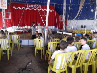 Visita ao circo
