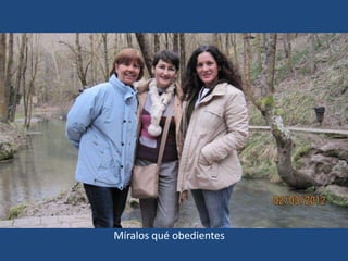 Míralos qué obedientes
 