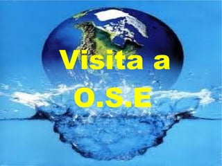 Visita a O.S.E   
