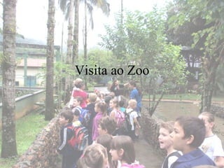 Visita ao Zoo 