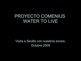 PROYECTO COMENIUS  WATER TO LIVE Visita a Sevilla con nuestros socios. Octubre 2009 