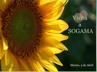 Visita  a  SOGAMA Martes, 5 de Abril F. Gallego 