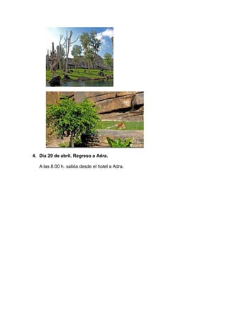 4. Día 29 de abril. Regreso a Adra.

   A las 8:00 h. salida desde el hotel a Adra.
 