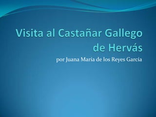 por Juana María de los Reyes García
 