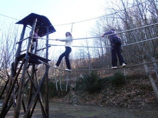 Visita al Castañar Gallego de Hervás