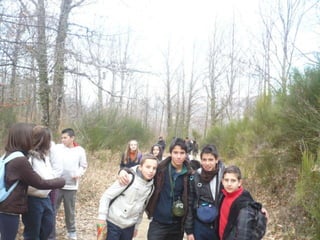 Visita al Castañar Gallego de Hervás