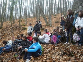 Visita al Castañar Gallego de Hervás