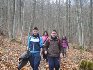 Visita al Castañar Gallego de Hervás