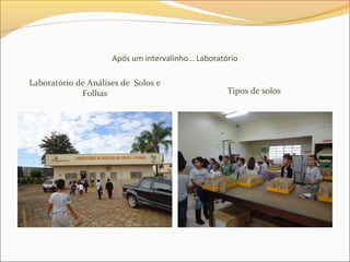 Após um intervalinho… Laboratório
Laboratório de Análises de Solos e
Folhas Tipos de solos
 