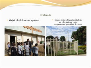 Finalizando
 Galpão de defensivos agrícolas  Estação Metereológica (umidade do
ar, velocidade do vento,
temperatura e quantidade de chuva)
 