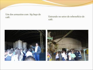 Um dos armazéns com big bags de
café. Entrando no setor de rebenefício de
café.
 