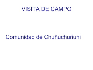 VISITA DE CAMPO



Comunidad de Chuñuchuñuni
 