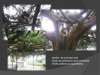 Jardim  do príncipe real Onde se juntavam para conversar Onde juntava os aguadeiros
