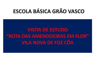ESCOLA BÁSICA GRÃO VASCOVISITA DE ESTUDO “ROTA DAS AMENDOEIRAS EM FLOR” VILA NOVA DE FOZ CÔA