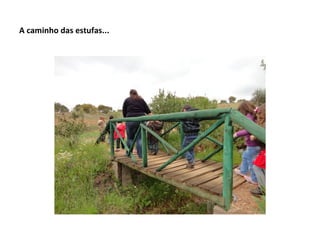 A caminho das estufas...
 