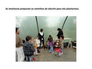 As monitoras preparam os raminhos de alecrim para nós plantarmos.
 