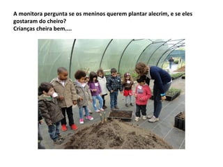 A monitora pergunta se os meninos querem plantar alecrim, e se eles
gostaram do cheiro?
Crianças cheira bem....
 