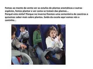 Fomos ao monte do vento ver as estufas de plantas aromáticas e outras
espécies, fomos plantar e ver como se tratam das plantas...
Porquê esta visita? Porque no inverno fizemos uma sementeira de coentros e
quisemos saber mais sobre plantas. Saída da escola aqui vamos nós a
caminho...
 