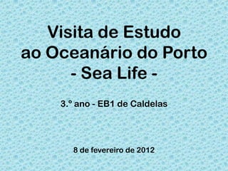 Visita de Estudo
ao Oceanário do Porto
      - Sea Life -
    3.º ano - EB1 de Caldelas




       8 de fevereiro de 2012
 