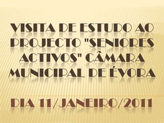 Visita de Estudo ao Projecto "Seniores Activos" Câmara Municipal de ÉvoraDia 11/janeiro/2011 