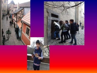 Visita de estudo praga final