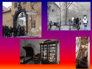 Visita de estudo praga final