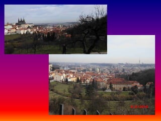 Visita de estudo praga final