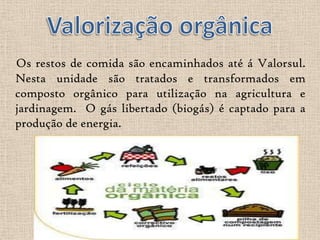 Os restos de comida são encaminhados até á Valorsul.
Nesta unidade são tratados e transformados em
composto orgânico para utilização na agricultura e
jardinagem. O gás libertado (biogás) é captado para a
produção de energia.
 