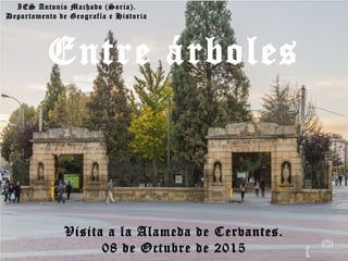 IES Antonio Machado (Soria).
Departamento de Geografía e Historia
Visita a la Alameda de Cervantes.
08 de Octubre de 2015
Entre árboles
 