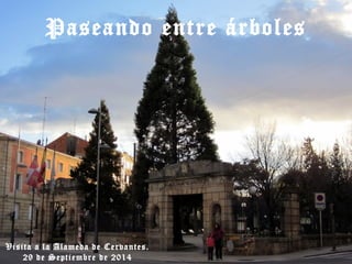 Paseando entre árboles
Visita a la Alameda de Cervantes.
29 de Septiembre de 2014
 