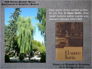 IES Antonio Machado (Soria).
Departamento de Geografía e Historia
Estos sauces dieron nombre al libro
de Luis Pita, El Sauce llorón. ¿Qué
hacían nuestros padres cuando eran
jóvenes?) (Décadas 1950/1960).
Visita a la Alameda de Cervantes.
08 de Octubre de 2015
 