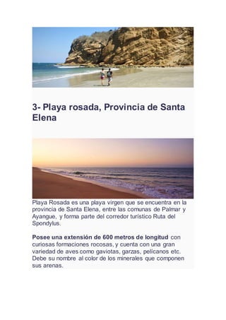 3- Playa rosada, Provincia de Santa
Elena
Playa Rosada es una playa virgen que se encuentra en la
provincia de Santa Elena, entre las comunas de Palmar y
Ayangue, y forma parte del corredor turístico Ruta del
Spondylus.
Posee una extensión de 600 metros de longitud con
curiosas formaciones rocosas, y cuenta con una gran
variedad de aves como gaviotas, garzas, pelícanos etc.
Debe su nombre al color de los minerales que componen
sus arenas.
 