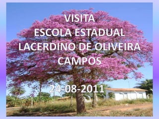 VISITA  ESCOLA ESTADUAL LACERDINO DE OLIVEIRA CAMPOS 24-08-2011 