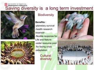 Saving diversity is  a long term investment Benefits: -planetary survival -health research reservoir -flexible response for Life and Nature -wider resource pool for facing crisis -adaptation Biodiversity Cultural  diversity 