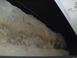 Visita estudo 26_junho_2014