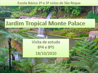 Escola Básica 2º e 3º ciclos de São Roque Jardim Tropical Monte Palace Visita de estudo 8º4 e 8º5 18/10/2010 