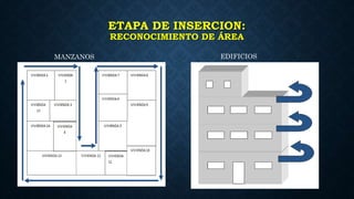 ETAPA DE INSERCION:
RECONOCIMIENTO DE ÁREA
MANZANOS EDIFICIOS
 